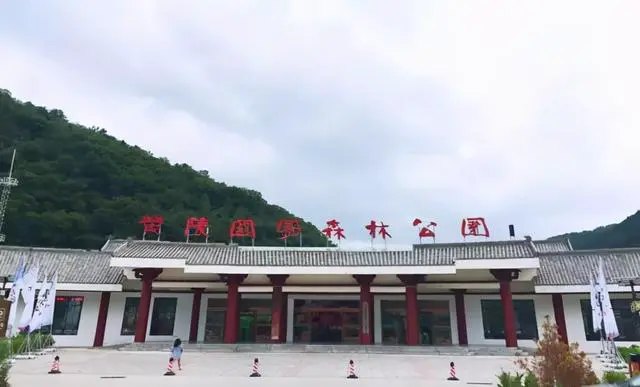 如何通过理疗提高篮球训练效果_1